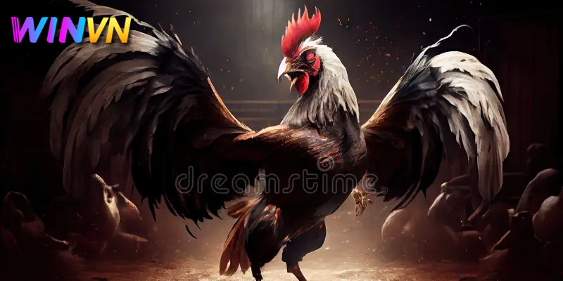 Tham gia Đá gà WinVN cá cược thỏa mãn đam mê 3 hướng dẫn kinh nghiệm đặt cược đá gà