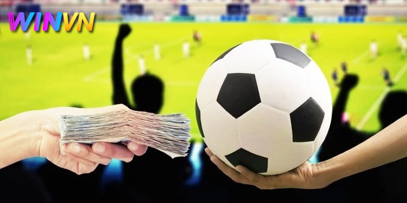 Hướng dẫn cách bắt tỷ số bóng đá tại nhà cái WinVN 3 Lưu ý để bắt tỷ số cá cược thể thao