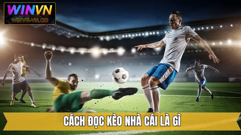 Kèo tài xỉu là gì và cách đọc cực kỳ hiệu quả