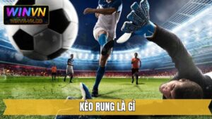 Kèo Rung Là Gì? Hình Thức Cá Cược Sôi Động Tại Winvn