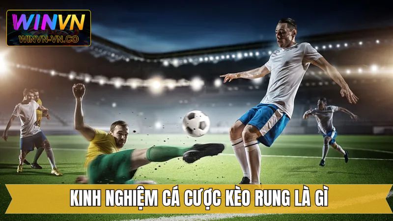 Kinh nghiệm chinh phục kèo rung hiệu quả nhất