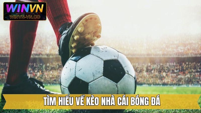 Kèo Nhà Cái Bóng Đá - Chinh Phục Cơ Hội Vàng Tại Winvn 2 Những thông tin liên quan về kèo nhà cái bóng đá