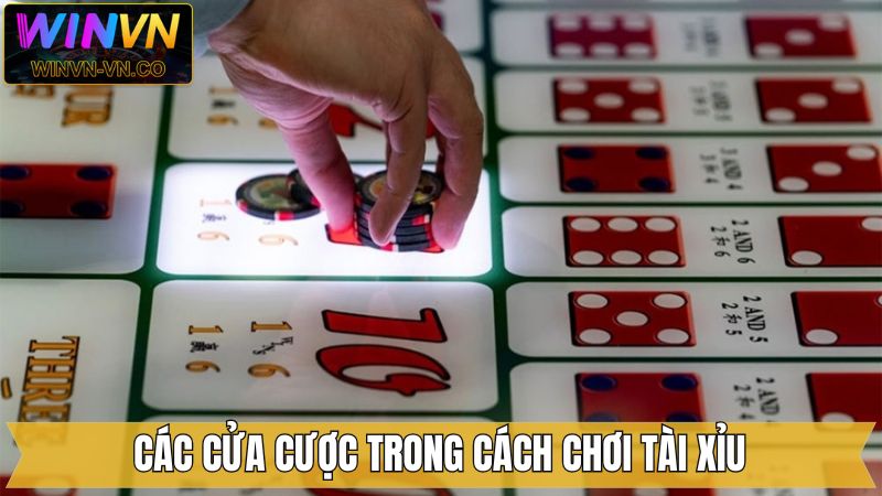 Cách chơi tài xỉu cùng các cửa cược phổ biến