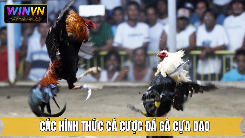 Đá Gà Cựa Dao Winvn - Mãn Nhãn Với Những Trận Đấu Hấp Dẫn 4 Đá gà cựa dao tại Winvn nhận được nhiều đánh giá tích cực