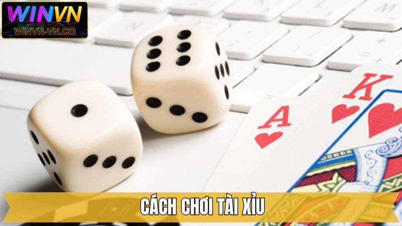 Cách Chơi Tài Xỉu - Chinh Phục Ván Đấu Dễ Dàng Từ Winvn 