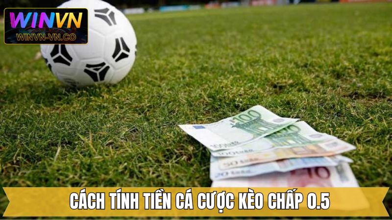 Hướng dẫn tính tiền cho kèo chấp 0.5 dễ hiểu
