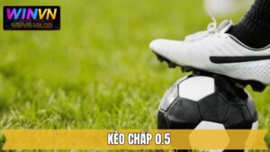 Chấp 0.5 - Cách Đọc Kèo Và Kinh Nghiệm Cá Cược Tại Winvn