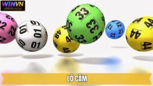Lô Câm - Phương Pháp Soi Cầu Chuẩn Từ Chuyên Gia Winvn
