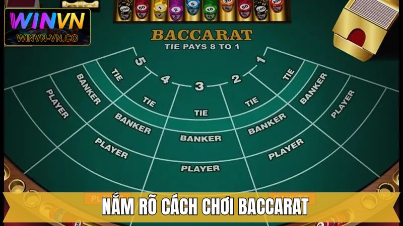 Cách Chơi Baccarat Hiệu Quả: Bí Quyết Đặt Cược Thông Minh 2 Hướng dẫn tất tần tật cách chơi cho newbie