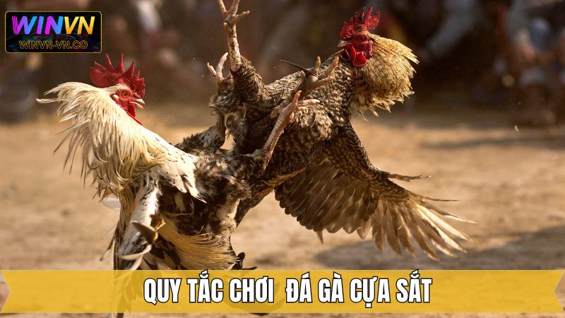 Đá Gà Cựa Sắt - Chia Sẻ Luật Chơi Cho Hội Viên Tại Winvn 3 Chia sẻ quy tắc về thời gian trong đá gà cựa sắt