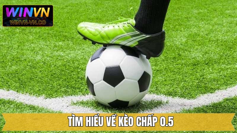 Giải thích chi tiết về tỷ lệ chấp nửa trái