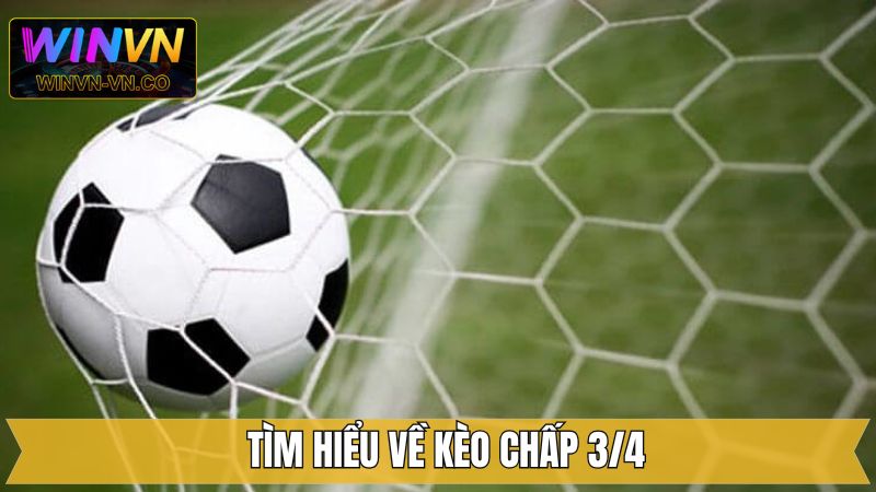 Kèo chấp 3/4 - Hướng Dẫn Cách Đọc Tỷ Lệ Cược Tại Winvn 2 Thông tin về Kèo chấp 3/4 khi cá độ online