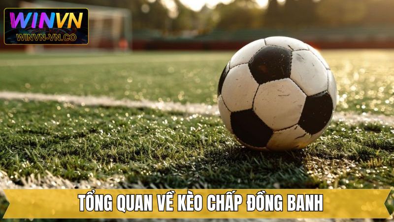 Một vài thông tin sơ lược về kèo đồng banh nên nắm 