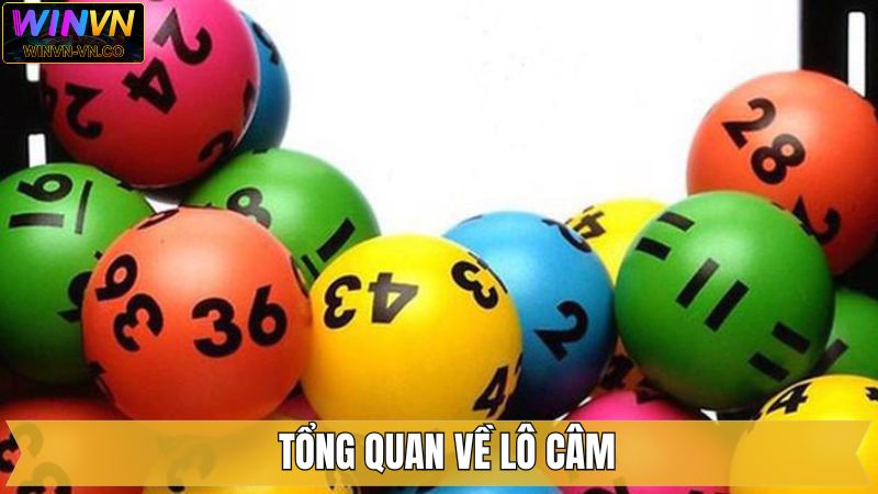 Lô Câm - Phương Pháp Soi Cầu Chuẩn Từ Chuyên Gia Winvn 2 Khái niệm lô câm cho hội viên mới