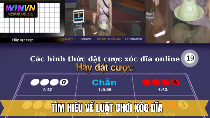 Luật Chơi Xóc Đĩa - Nắm Vững Quy Tắc Quan Trọng Cùng Winvn 2 Nét chính về luật chơi xóc đĩa siêu đơn giản