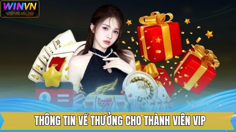 Nội dung tổng quan về ưu đãi dành cho thành viên VIP