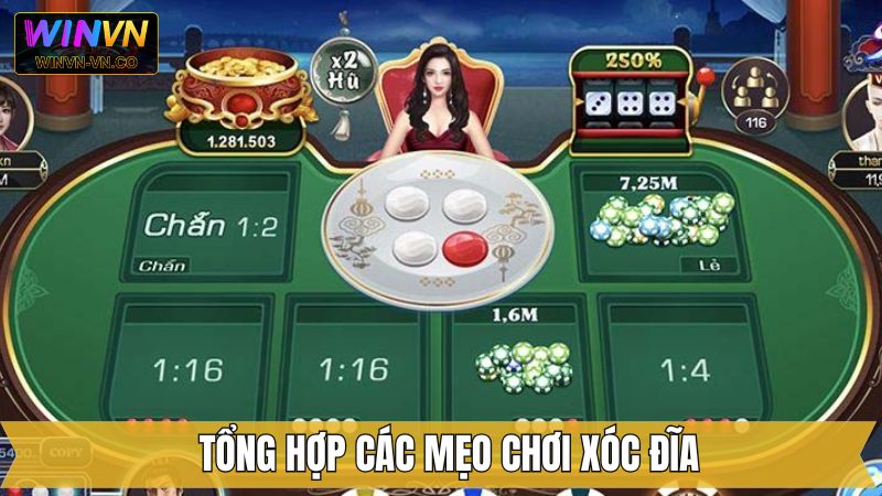 Nên chọn loại cược chẵn lẻ để dễ dự đoán